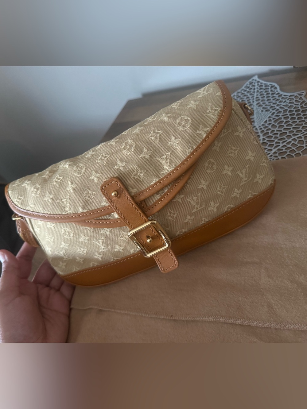 Louis Vuitton Monogram Canvas Shoulder Bag